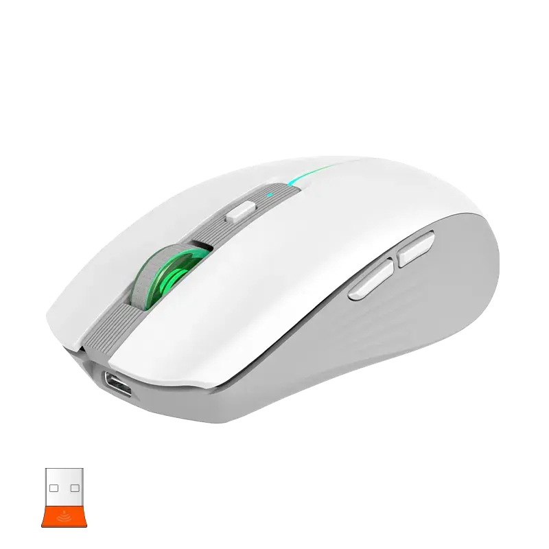 png80-t3-scale100 (12).webp