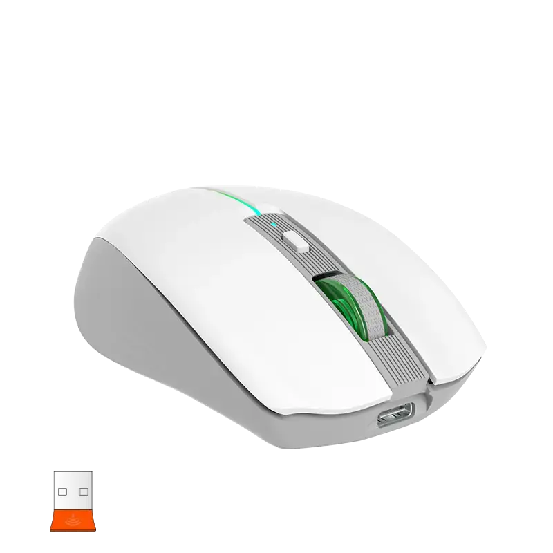 png80-t3-scale100 (13).webp