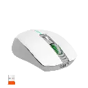 png80-t3-scale100 (13).webp
